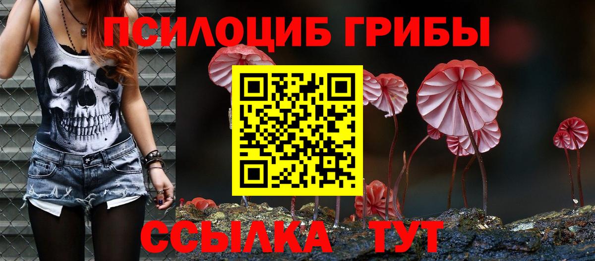Серов  Галлюциногенные грибы мухоморы  Вход с VPN 