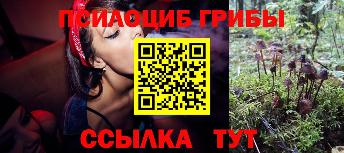 Псилоцибиновые грибы GOLDEN TEACHER Серов